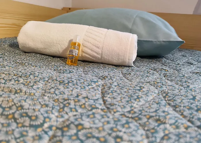 Casa Vista Douro E Paiva *